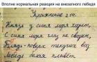 Прикрепленное изображение: 69384198_403862710482785_920076990889852928_n.jpg