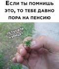 Прикрепленное изображение: 1598728557.jpg
