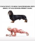 Прикрепленное изображение: IMG_20200910_133430_570.jpg
