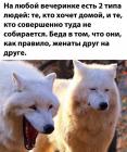Прикрепленное изображение: Два типа на вечеринке.jpg
