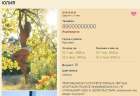 Прикрепленное изображение: Снимок экрана (42).png