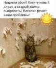 Прикрепленное изображение: Надоели обои.jpg