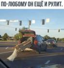 Прикрепленное изображение: 305995075_5389048961208440_4547892372400779185_n.jpg