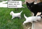 Прикрепленное изображение: 1661668769.jpg
