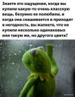 Прикрепленное изображение: 1663061568.jpg