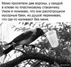 Прикрепленное изображение: 1662887997.jpg