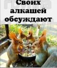 Прикрепленное изображение: 304761823_5386967298083273_3762976237184670478_n.jpg