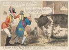 Прикрепленное изображение: yale-centre-for-british-art-pig.jpg