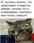 Прикрепленное изображение: 1693527430.jpg