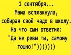 Прикрепленное изображение: 1693511623.jpg
