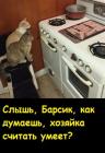 Прикрепленное изображение: 1724672094.jpg