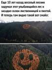 Прикрепленное изображение: 1725874237.jpg