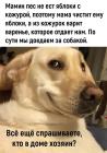 Прикрепленное изображение: Яблоки без кожуры.jpg