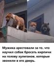 Прикрепленное изображение: 1757890025.jpg