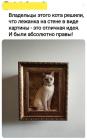 Прикрепленное изображение: 1756306542.jpg