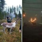Прикрепленное изображение: 1756871701.jpg
