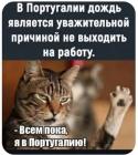 Прикрепленное изображение: 554975077_122244221102156913_1842798942306890692_n.jpg