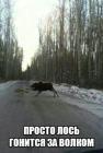 Прикрепленное изображение: 1757049380.jpg