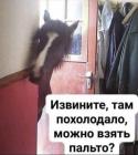 Прикрепленное изображение: 1757752592.jpg