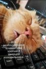 Прикрепленное изображение: 555529957_844786041405015_6689206697871667763_n.jpg