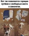 Прикрепленное изображение: 1757137289.jpg