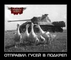 Прикрепленное изображение: kWxtOboTrVMgcIPcggTmvs.jpg