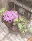 Прикрепленное изображение: QAbj5qcRrrYQcmSAldI_h-oewCJxR6E58eULdt39X7RTl9igV.jpg