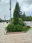 Прикрепленное изображение: CZRU6fxKTTB.jpg