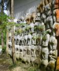 Прикрепленное изображение: Bosc_de_Can_Ginebreda_1_hf.jpg