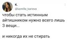 Прикрепленное изображение: Истинный айтишник.jpg