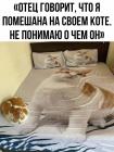 Прикрепленное изображение: Помешана на коте.jpg