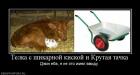 Прикрепленное изображение: image.jpg