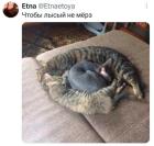 Прикрепленное изображение: 1788907181.jpg