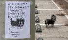 Прикрепленное изображение: 1788799018.jpg