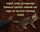 Прикрепленное изображение: 687338776_1497746559029619_5578117701458486655_n.jpg