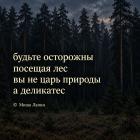Прикрепленное изображение: 813137319_1627730092697931_7955390343699210308_n.jpg