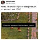 Прикрепленное изображение: Начальник просит задержаться.jpg