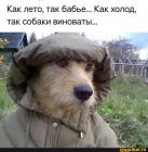 Прикрепленное изображение: лето бабье.jpg