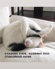 Прикрепленное изображение: Сладких снов удобных поз.jpg