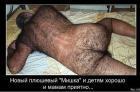 Прикрепленное изображение: x_b43d8da0.jpg