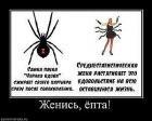 Прикрепленное изображение: x_bfa27c62.jpg