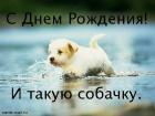 Прикрепленное изображение: 27162348.jpg