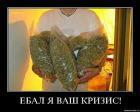 Прикрепленное изображение: 74749_de.jpg