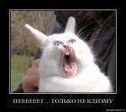 Прикрепленное изображение: ________________.jpg