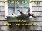 Прикрепленное изображение: image.jpg