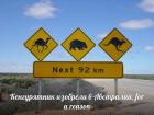 Прикрепленное изображение: 81nB8LaIsmY.jpg