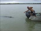 Прикрепленное изображение: Crocodile_g'day_bait.jpg