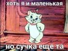 Прикрепленное изображение: werer44rrj_009.jpg