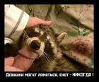 Прикрепленное изображение: hclz2uabyt.jpg