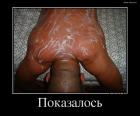 Прикрепленное изображение: 31562(1).jpg